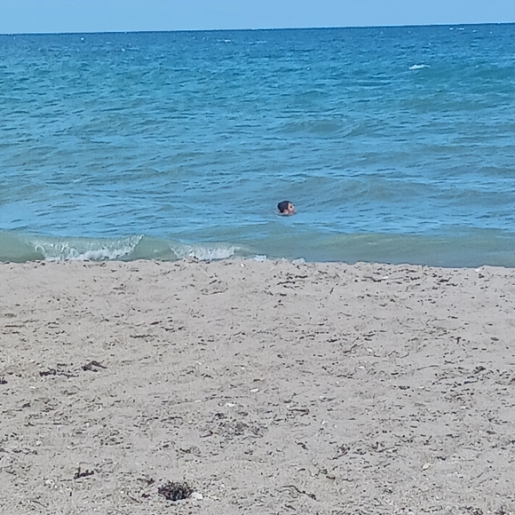 Meet your Posher, Raeann - Picture 2 of 2